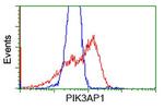 PIK3AP1 Antibody in Flow Cytometry (Flow)