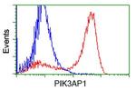 PIK3AP1 Antibody in Flow Cytometry (Flow)