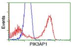PIK3AP1 Antibody in Flow Cytometry (Flow)