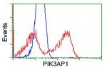PIK3AP1 Antibody in Flow Cytometry (Flow)