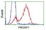 PIK3AP1 Antibody in Flow Cytometry (Flow)