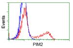 PIM2 Antibody in Flow Cytometry (Flow)