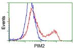 PIM2 Antibody in Flow Cytometry (Flow)