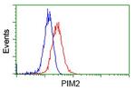 PIM2 Antibody in Flow Cytometry (Flow)