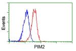 PIM2 Antibody in Flow Cytometry (Flow)