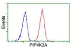 PIP4K2A Antibody in Flow Cytometry (Flow)