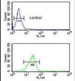 PITX1 Antibody in Flow Cytometry (Flow)