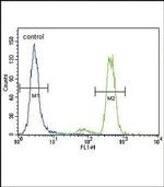 PKC alpha Antibody in Flow Cytometry (Flow)
