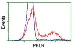 PKLR Antibody in Flow Cytometry (Flow)