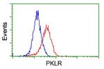PKLR Antibody in Flow Cytometry (Flow)