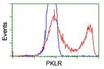 PKLR Antibody in Flow Cytometry (Flow)
