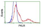 PKLR Antibody in Flow Cytometry (Flow)