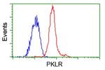 PKLR Antibody in Flow Cytometry (Flow)