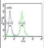 PKM2 Antibody in Flow Cytometry (Flow)