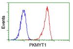 PKMYT1 Antibody in Flow Cytometry (Flow)
