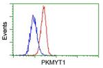 PKMYT1 Antibody in Flow Cytometry (Flow)