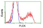 PLEK Antibody in Flow Cytometry (Flow)