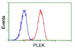 PLEK Antibody in Flow Cytometry (Flow)