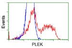 PLEK Antibody in Flow Cytometry (Flow)
