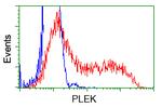 PLEK Antibody in Flow Cytometry (Flow)