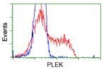 PLEK Antibody in Flow Cytometry (Flow)