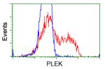 PLEK Antibody in Flow Cytometry (Flow)