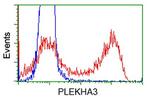 PLEKHA3 Antibody in Flow Cytometry (Flow)