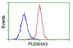 PLEKHA3 Antibody in Flow Cytometry (Flow)