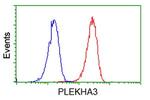 PLEKHA3 Antibody in Flow Cytometry (Flow)