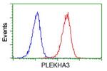 PLEKHA3 Antibody in Flow Cytometry (Flow)