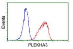 PLEKHA3 Antibody in Flow Cytometry (Flow)