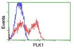 PLK1 Antibody in Flow Cytometry (Flow)