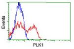 PLK1 Antibody in Flow Cytometry (Flow)