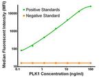 PLK1 Antibody in Luminex (LUM)