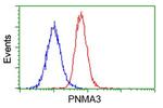 PNMA3 Antibody in Flow Cytometry (Flow)