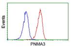 PNMA3 Antibody in Flow Cytometry (Flow)