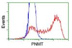 PNMT Antibody in Flow Cytometry (Flow)