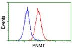 PNMT Antibody in Flow Cytometry (Flow)