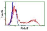 PNMT Antibody in Flow Cytometry (Flow)