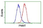 PNMT Antibody in Flow Cytometry (Flow)