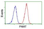 PNMT Antibody in Flow Cytometry (Flow)