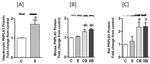 PNPLA3 Antibody in Western Blot (WB)