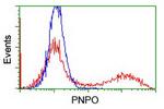 PNPO Antibody in Flow Cytometry (Flow)