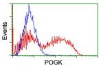 POGK Antibody in Flow Cytometry (Flow)