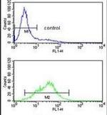 POLD1 Antibody in Flow Cytometry (Flow)