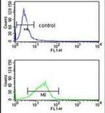POLE3 Antibody in Flow Cytometry (Flow)