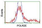 POLR2E Antibody in Flow Cytometry (Flow)