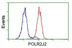 POLR2J2 Antibody in Flow Cytometry (Flow)