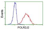 POLR2J2 Antibody in Flow Cytometry (Flow)