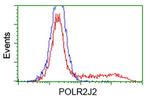 POLR2J2 Antibody in Flow Cytometry (Flow)